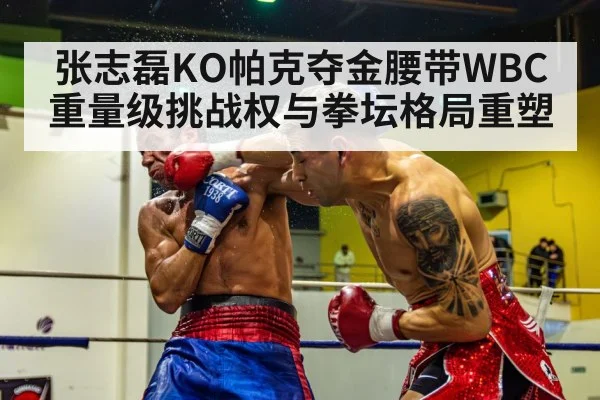 boxing knockout punch